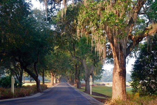 Caledonia Golf and Fish Club
